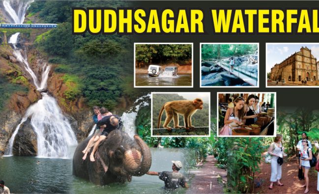 Dudhsagar Waterfall Trip from North Goa